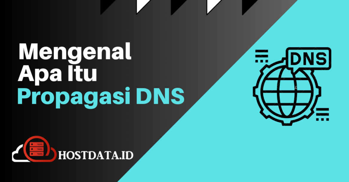 propagasi dns